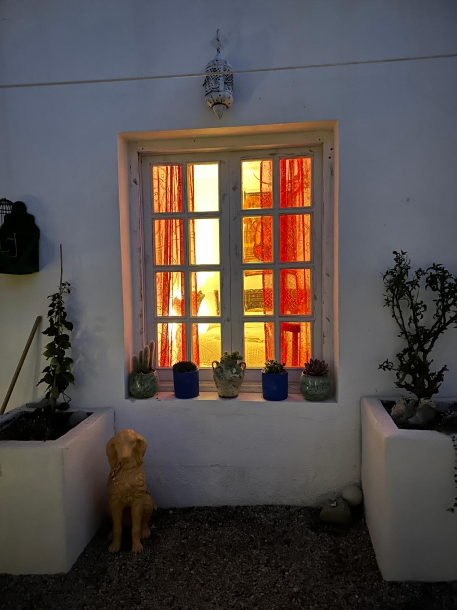 Villa Mi Marino Fernan Perez Εξωτερικό φωτογραφία